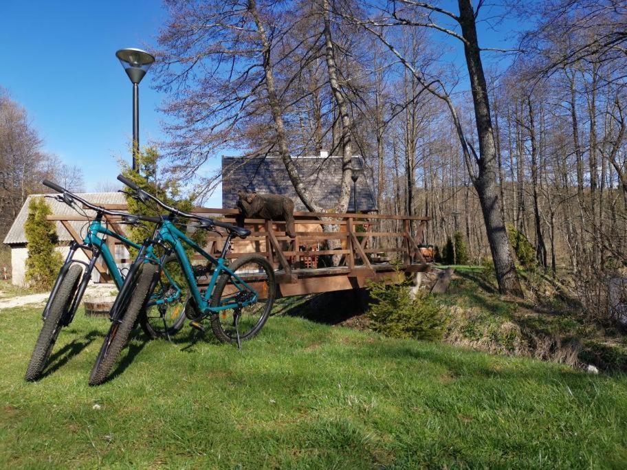 Vodenica Vrelo Chalets Vrelo Korenicko Bagian luar foto