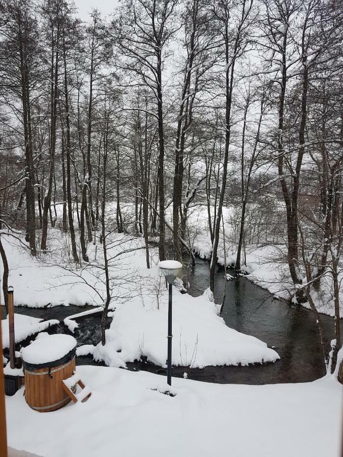 Vodenica Vrelo Chalets Vrelo Korenicko Bagian luar foto