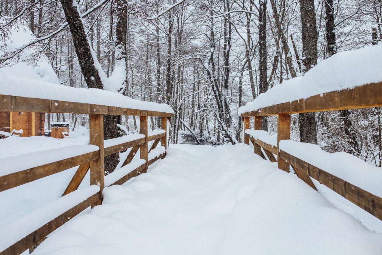 Vodenica Vrelo Chalets Vrelo Korenicko Bagian luar foto