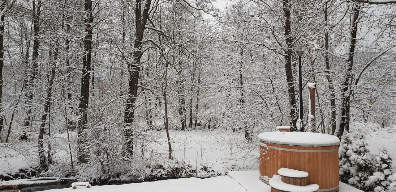 Vodenica Vrelo Chalets Vrelo Korenicko Bagian luar foto